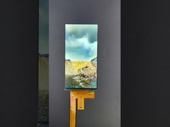 6인치 1080*2160 해상도 LCD TFT 모듈 MIPI 인터페이스 드라이빙 IC HX8399C