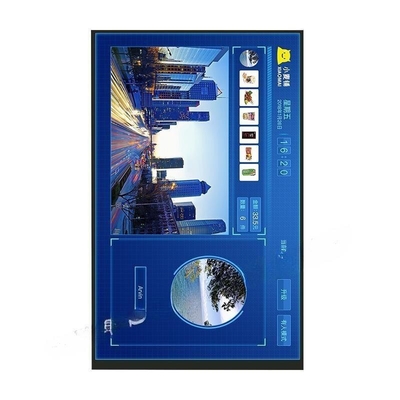 10.1 inch TFT display module 1200X1920 resolution 40 PINS MIPI interface 450c/d