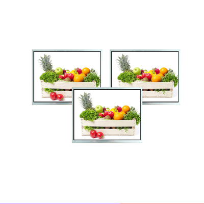 12.1inch TFT display module,1027X768 resolution, LVDS interface, free view angle, 500C/D,