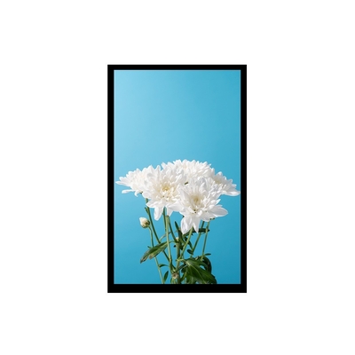 Resolution 800*1280 250 Brightness 10.1 Inch Lcd Screen Touch 40PIN MIPI