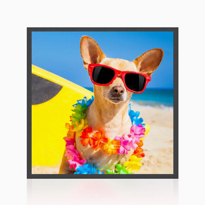 2024 New Factory 29.5 Inch Ultra Thin Mini LED Square LCD Monitor Display For Digital Picture Frame Art Exhibition