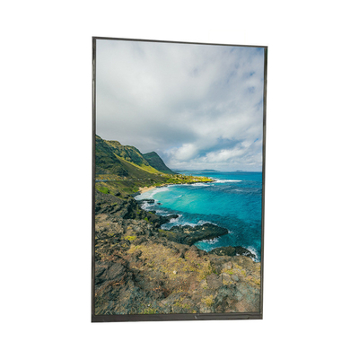 TFT Display Module 10.1 Inch With Touch Panel 1280*800 Brightness 320 C/d Driving IC ILI9881C