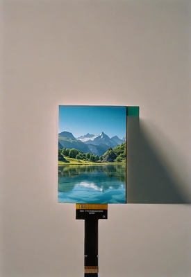 RGB 2.8 Inch Bar Type TFT Display Module 480X640 Resolution 500 Cd Free View Angle  MIPI Interface