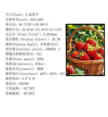2.42인치 AMOLED 디스플레이 모듈 850nit 밝기와 450RGBx600 해상도