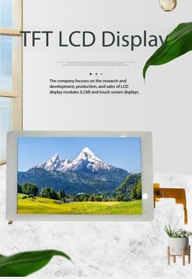 8.0 Inch with TP IPS TFT Display 800X(RGB)*1280 Resolution MIPI Interface Driver IC JD9365DA 220nit  21LEDS ALL View Instrument detection